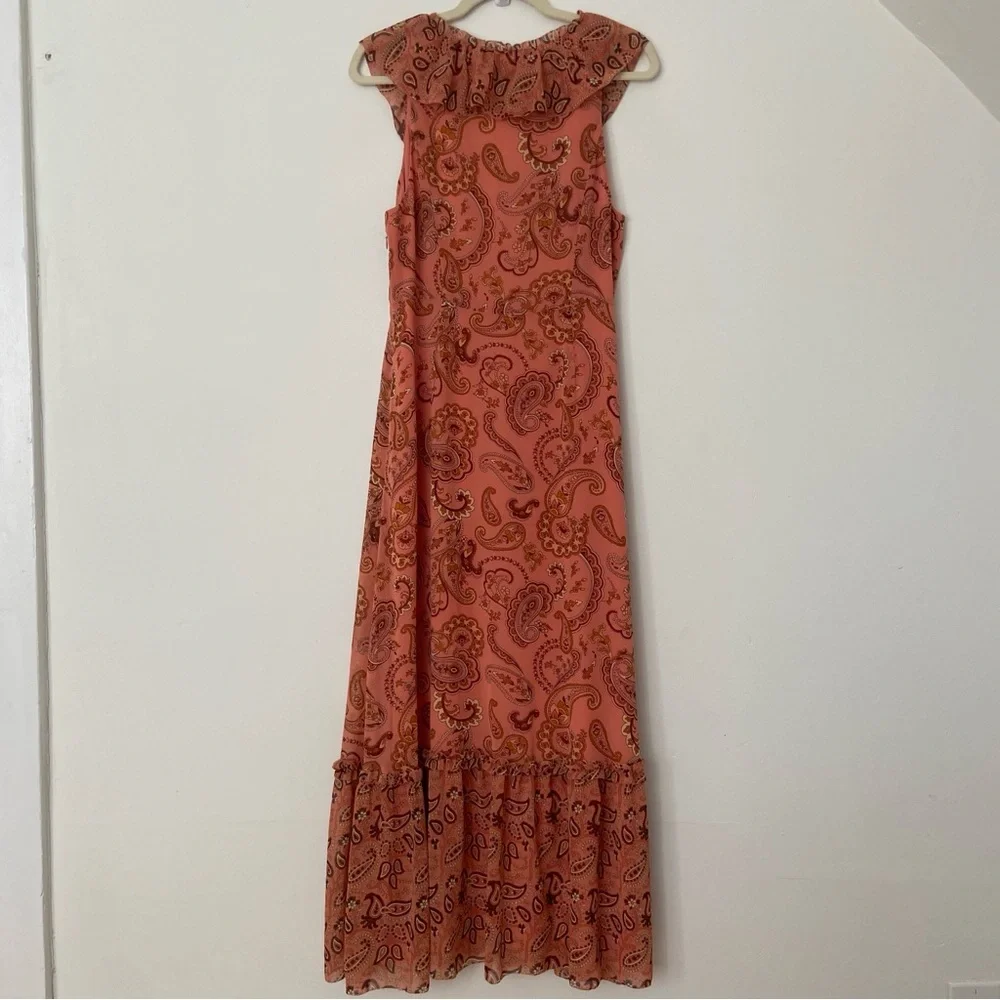 Wilfred Aritzia Naomi Dress size 10 Vintage Paisley Print Maxi Dress Chiffon - Picture 7 of 9